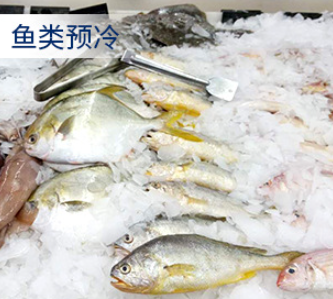 這類制冰機(jī)的特點(diǎn)或選購指南